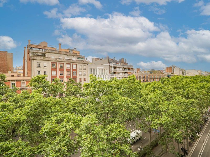 Foto 18515647-667b-4518-89d2-8e8d8b007774. Pis amb calefacció aparcament a La Nova Esquerra de l´Eixample Barcelona