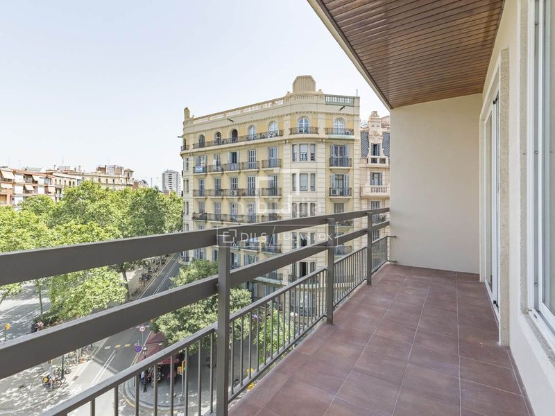 Foto f3dc612e-4e60-4419-b741-05ea4ef7f9ad. Pis a Fort Pienc Barcelona