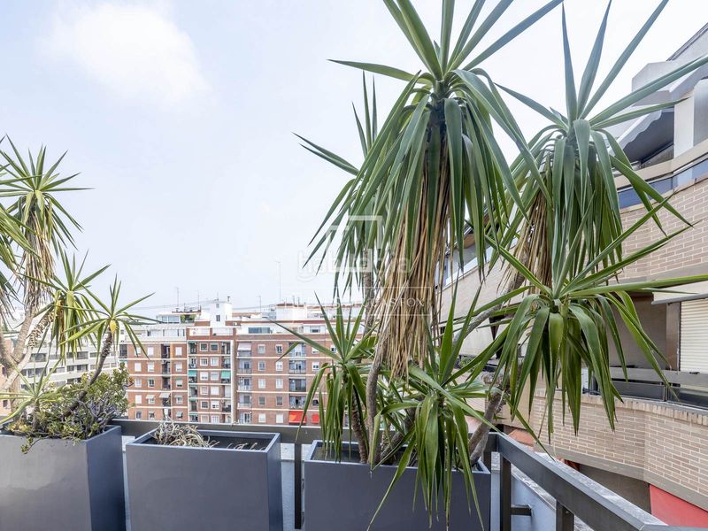 Foto c0665999-80dd-40c0-9dec-be1e2dd8b921. Rent penthouse with heating parking in Exposició Valencia