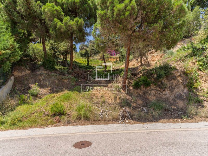 Foto 8671fd4c-93c8-4691-8ab4-438d7544261e. Finca rústica a Canyelles Lloret de Mar