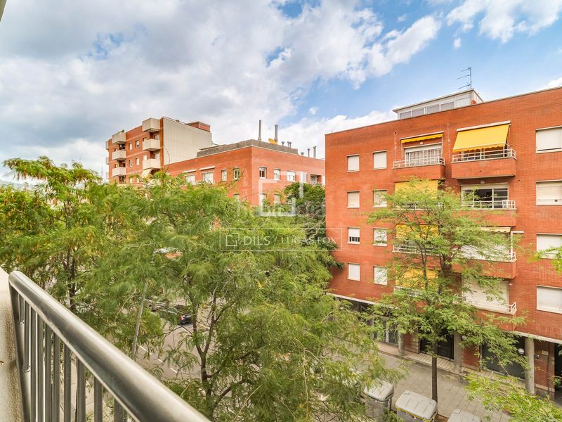 Foto 0a062cd4-2e50-42d4-bddf-c50f8d76de1a. Pis a Sant Ramon - Maternitat Barcelona