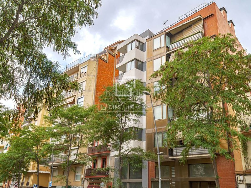 Foto 4c092570-f361-46b6-8eec-55239187a024. Pis a Sant Ramon - Maternitat Barcelona
