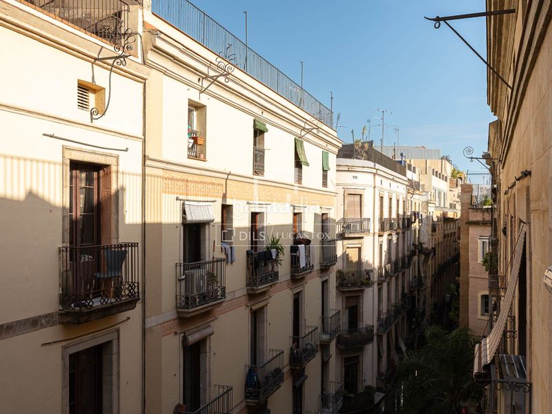 Foto 9ef57142-cda8-4919-95b8-c6d8a61c037a. Pis amb piscina a Raval Barcelona