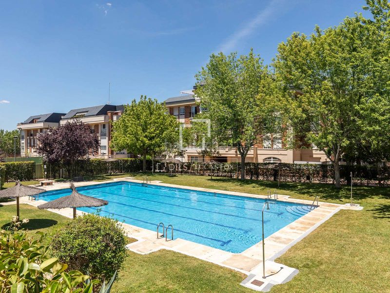 Foto d6bd7c24-ca14-46db-a3ad-395c4de8fb95. Àtic amb aparcament piscina a Golf-El Carralero Majadahonda