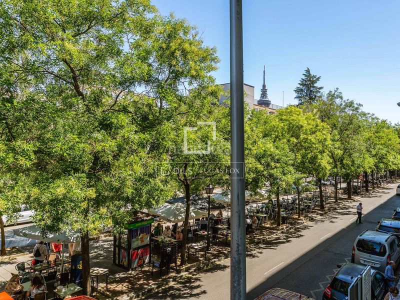 Foto 1206f845-8b95-4823-ad3b-5f9935cbc4c4. Pis a Ibiza Madrid