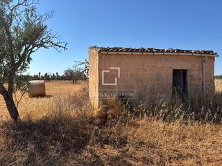 Finca rústica a Zona Rústica - Interior. Exclusiva parcela rústica edificable de 19.544 m en venta en sa
