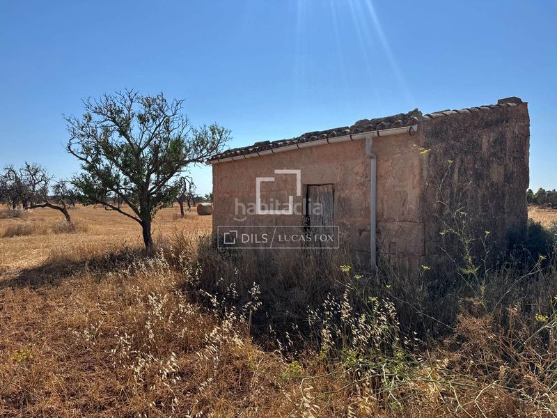 Foto 6901c784-5509-4702-aa3f-1a14ed0b0233. Finca rústica a Zona Rústica - Interior Campos