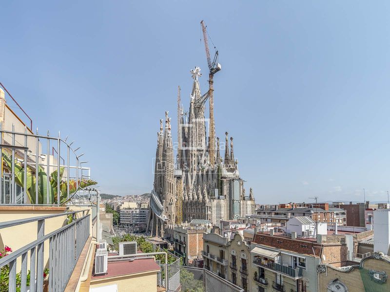 Foto 3e99187a-5ed8-4335-a182-f7adbb11da66. Àtic a Sagrada Família Barcelona