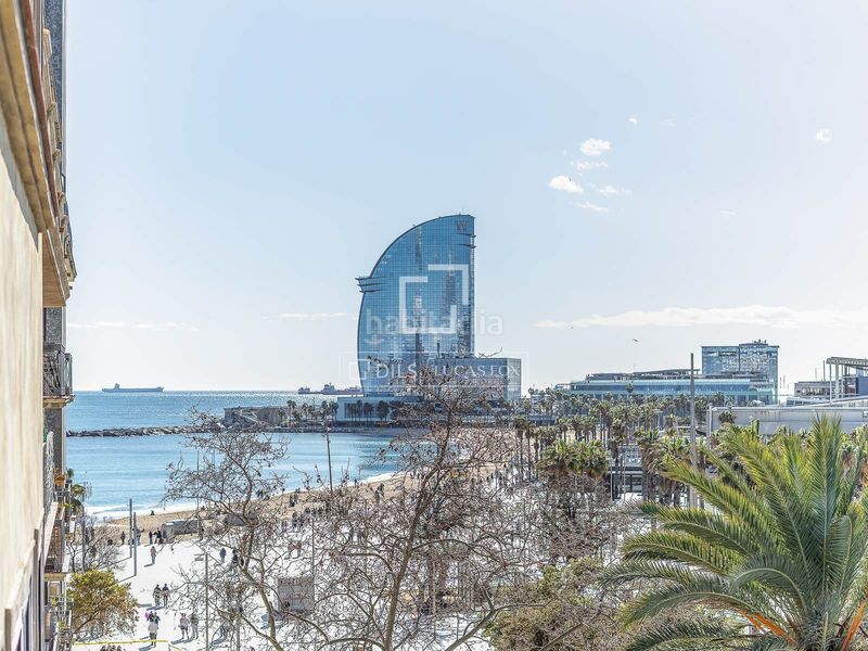 Foto 46e84349-f50f-4fb1-9f32-533cad4382ce. Àtic amb piscina a Barceloneta Barcelona