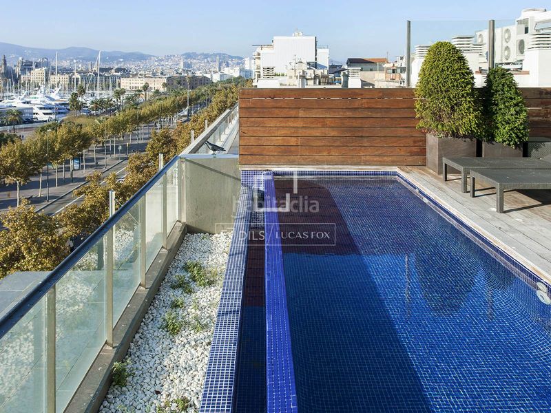 Foto 5391fd54-02b8-4164-96c9-13eb42e2bf60. Àtic amb piscina a Barceloneta Barcelona