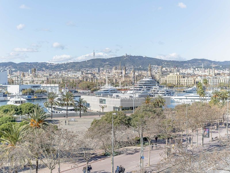 Foto 594e936b-062c-4a72-a71a-65f02e514c54. Àtic amb piscina a Barceloneta Barcelona
