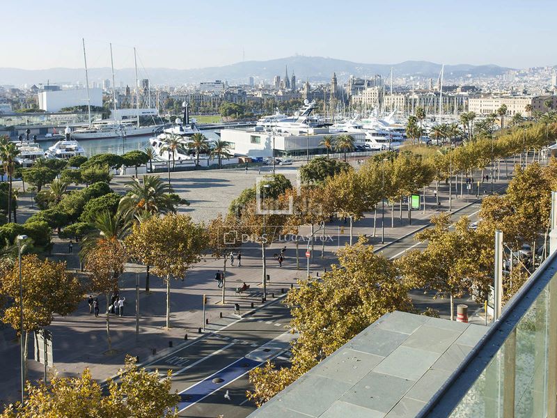 Foto 85cf0f3f-31c1-4d21-a552-727e835b4831. Àtic amb piscina a Barceloneta Barcelona