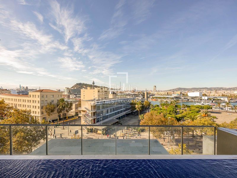 Foto c0e2c899-4c41-497b-a2d4-8c7cab6741a0. Àtic amb piscina a Barceloneta Barcelona