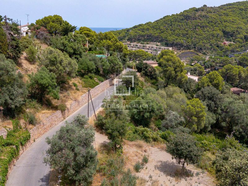 Foto a6a07d0d-4900-477a-b686-4ecf7d7b521e. Finca rústica excelente parcela edificable en venta en sa riera, , costa brava en Begur