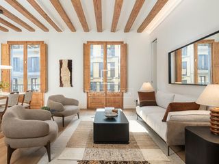 Flat in St. Pere - Sta. Caterina - El Born