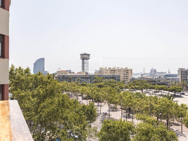 Foto 5c04dcd2-dfe6-493c-b9f2-70b1c21fbfc8. Àtic amb calefacció a Barceloneta Barcelona