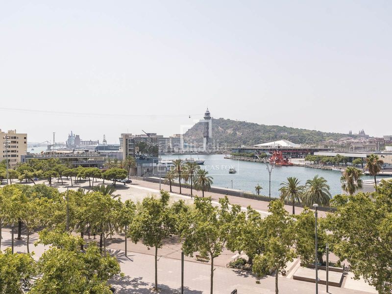 Foto 9af44a67-706a-4fe9-83e0-e655f304d0dc. Àtic amb calefacció a Barceloneta Barcelona