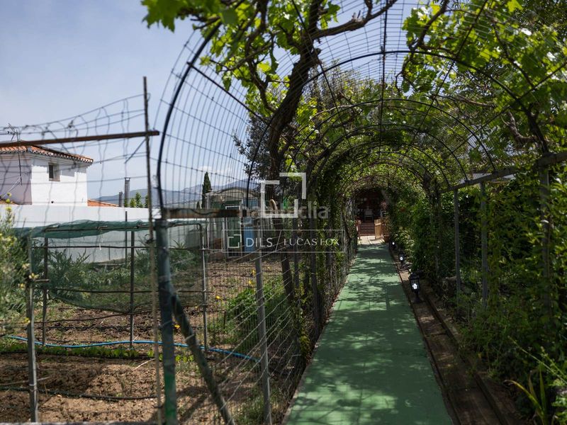 Foto 7e4e8d14-2ede-49e1-a386-af4e4bfcf55d. Chalet exclusiva villa de estilo andaluz con vistas panorámicas a la ciudad de granada y sierra nevada en venta en ogijares en Ogíjares