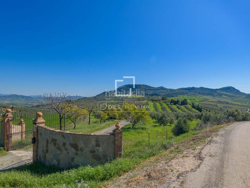 Foto b586a9b9-2bac-4678-b354-94dab935be8e. Masia amb calefacció aparcament piscina a Álora