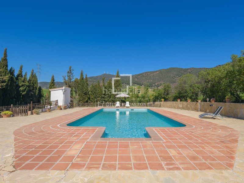 Foto dad95dae-cf68-429c-8f69-865f83d55c18. Masia amb calefacció aparcament piscina a Álora