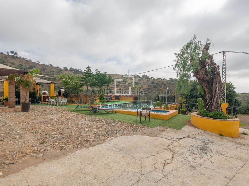 Foto ce994086-a147-4595-9333-cd0ee5f2ce2c. Masia amb aparcament piscina a alegría de la huerta- jardín de Málaga Málaga