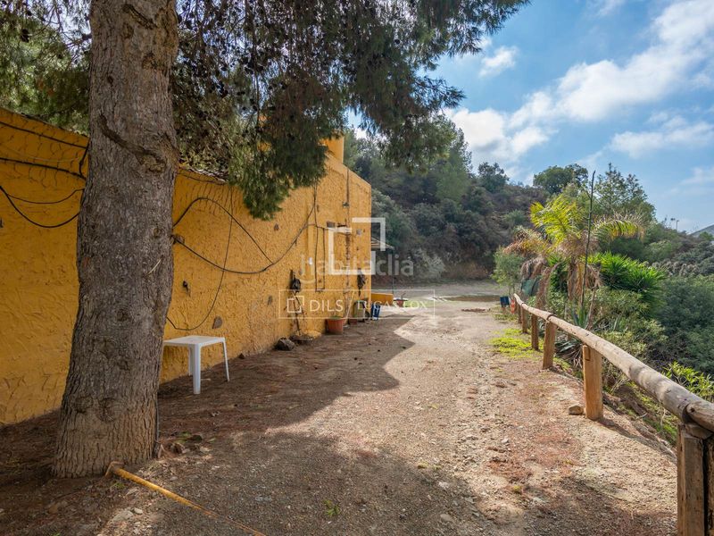 Foto eb78059e-7b4f-4e3e-9843-f4e5dd5e5d77. Masia amb aparcament piscina a alegría de la huerta- jardín de Málaga Málaga