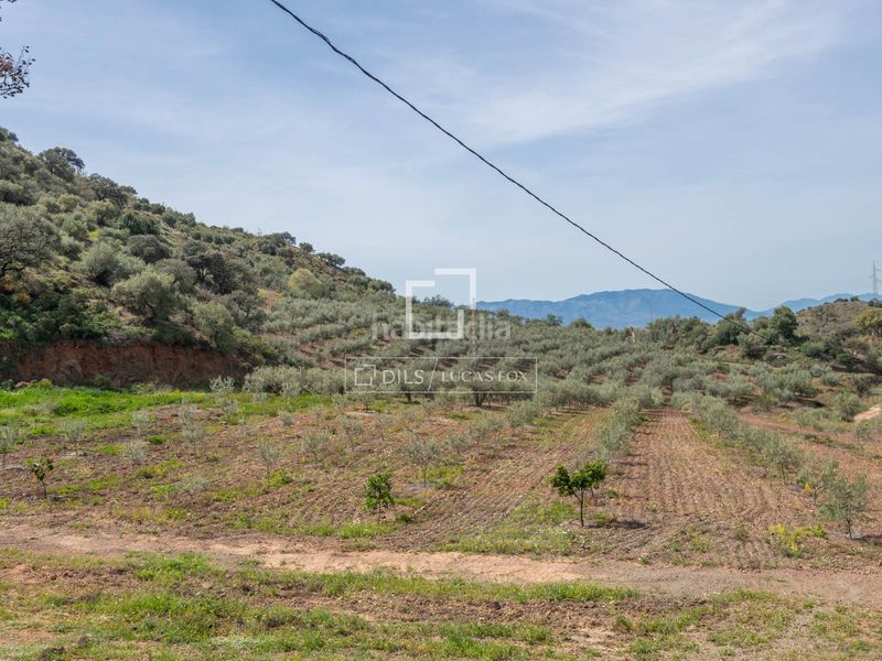 Foto bda8d604-2488-4335-90d0-744ffc970928. Masia amb aparcament piscina a El Cortijuelo Málaga