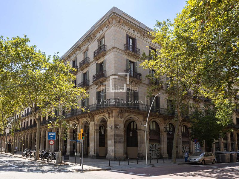 Foto 755fccd0-4a21-4246-9906-a3abf0e9d98e. Àtic a St. Pere - Sta. Caterina - El Born Barcelona