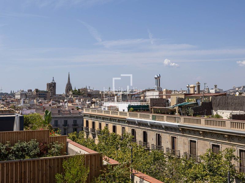 Foto ecdf8164-8ac8-4cf2-bee6-df54fda50907. Àtic a St. Pere - Sta. Caterina - El Born Barcelona