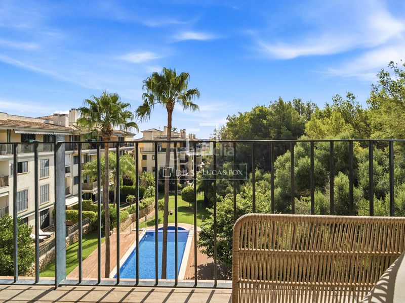Foto 1e8586ba-a59e-4f84-a9cd-047d2cff8e2d. Àtic amb calefacció aparcament piscina a Sa Teulera Palma de Mallorca
