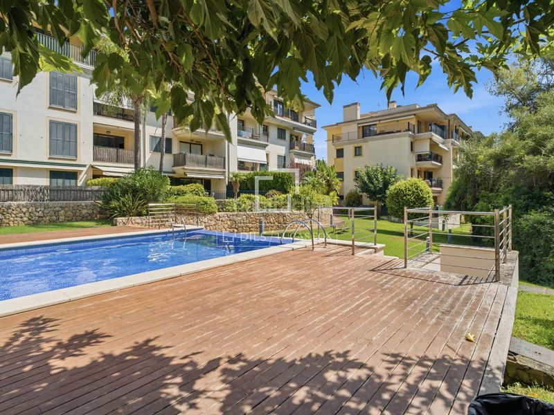 Foto 8756e780-1038-4f30-b75b-bd46dfde82e5. Àtic amb calefacció aparcament piscina a Sa Teulera Palma de Mallorca