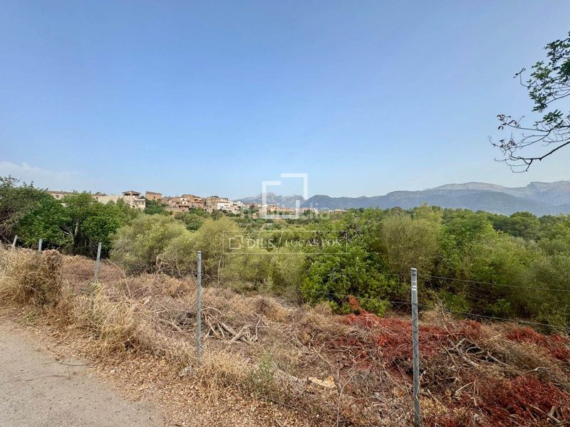 Foto 07d7f1d9-67f3-4bbb-a1f3-bb9d0b06d286. Finca rústica a Campanet