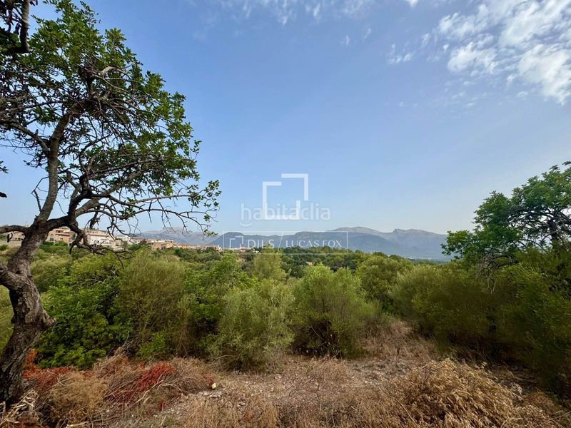 Foto a8b0c2a1-d6ea-469c-a98c-ee6865b53aa0. Finca rústica a Campanet