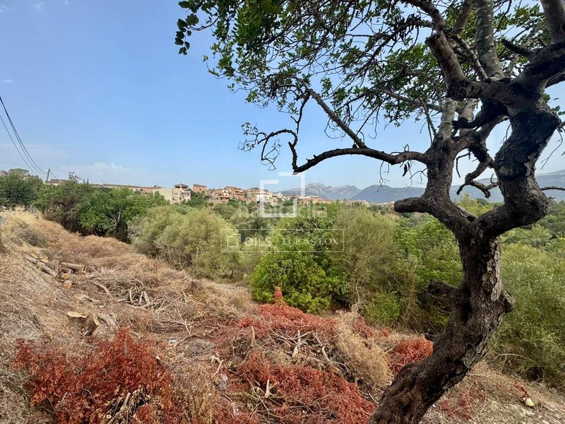 Foto d3d57fc4-11f2-42a0-9c80-b2a8c391e355. Finca rústica a Campanet