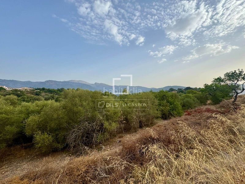 Foto def65e66-c3ef-4d11-a643-2d4938b0fb9e. Finca rústica a Campanet