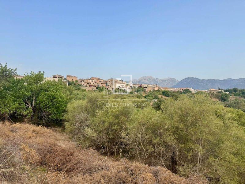 Foto ec006679-2ad3-4630-bce4-6573d9d41d8a. Finca rústica a Campanet