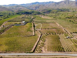 Masia a Bisbal del Penedès (La). Finca en venta con viñedos y olivares en pleno corazón del pened