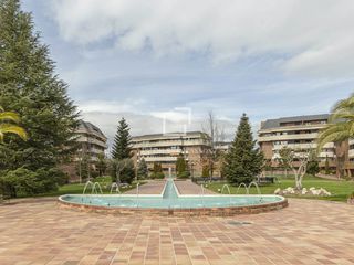 Pis a Golf-El Carralero. Excelente bajo con terraza y jardín de 4 dormitorios en venta en