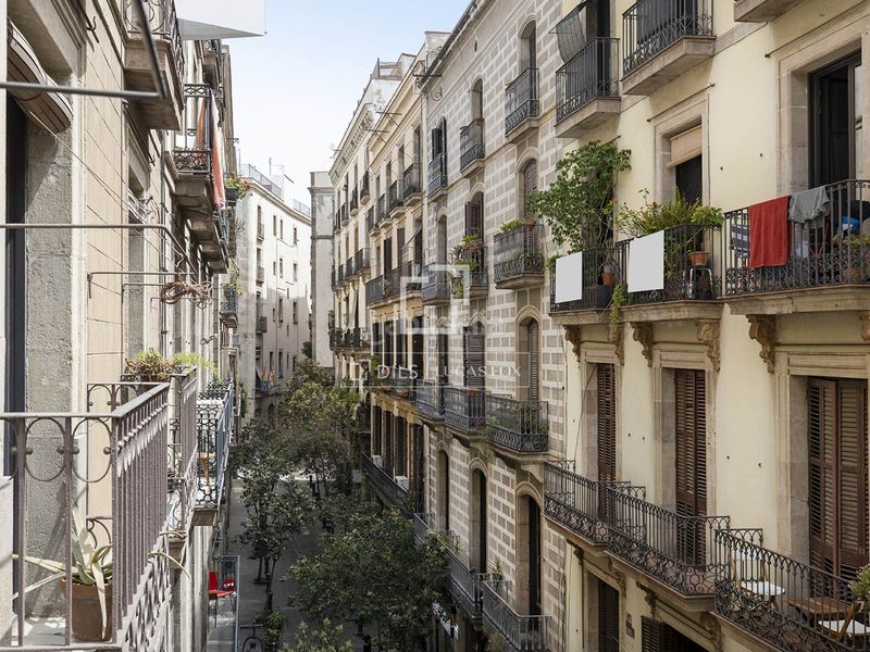 Foto b6fa6077-fd73-493d-a968-e528c1fa1d97. Pis a Gòtic Barcelona