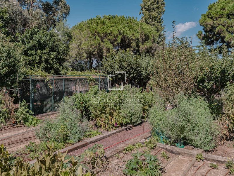 Foto c7f8f377-be0c-4824-9c10-199e99ee78a8. Xalet amb calefacció aparcament piscina a Vallvidrera - Tibidabo - Les Planes Barcelona