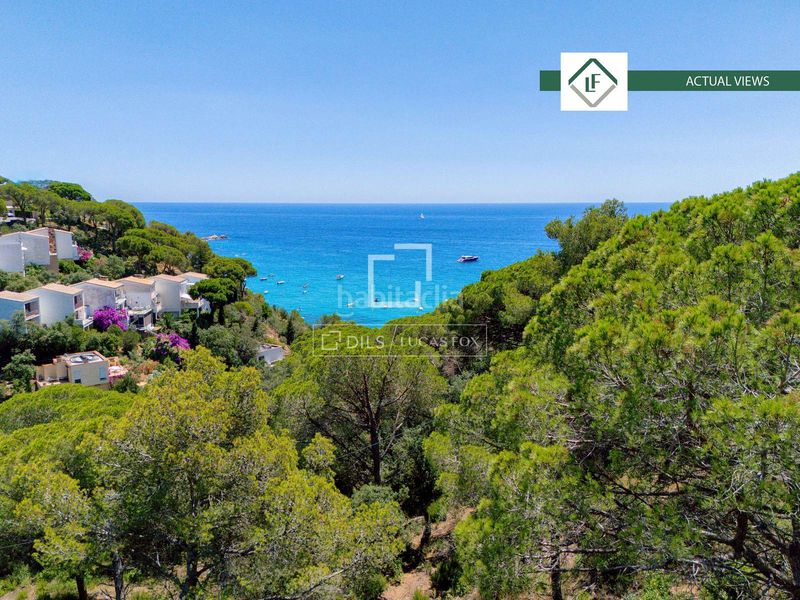 Foto 8c20d3f4-f565-410f-9e40-b7c28ce336bb. Finca rústica a Santa Maria de Llorell Tossa de Mar