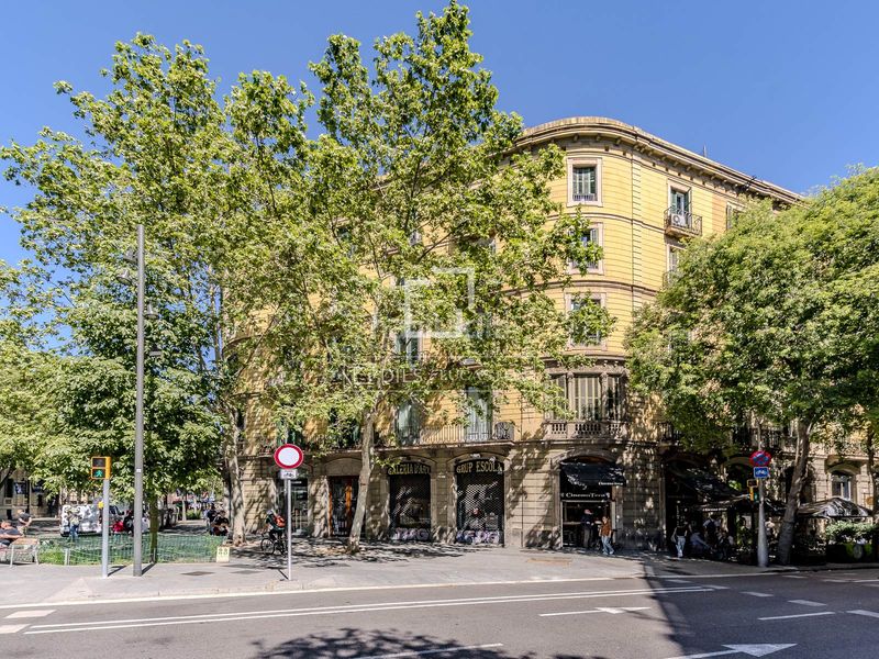 Foto 4df00cb5-1434-4a5c-89ca-b08617663803. Pis a Dreta de l´Eixample Barcelona