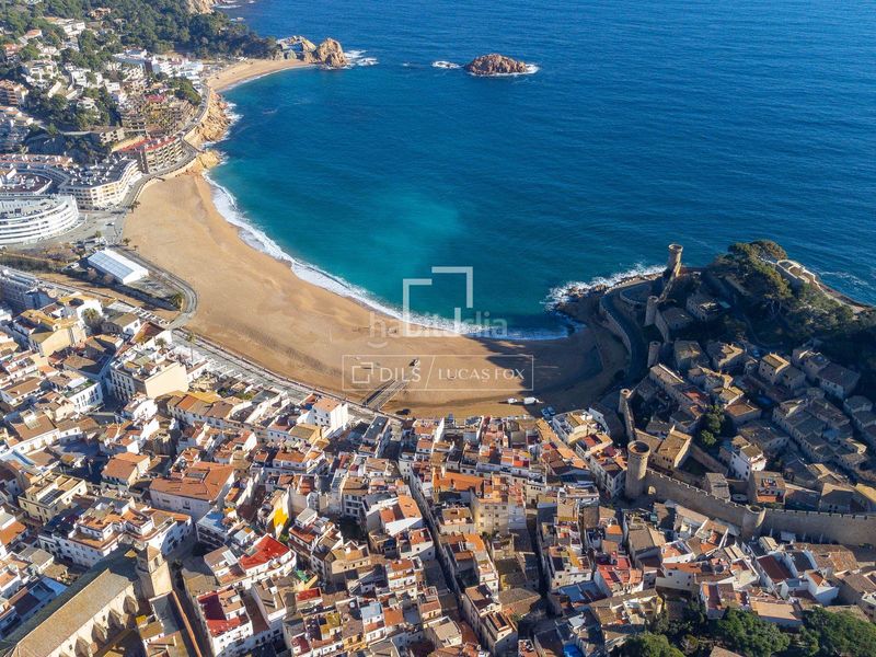 Foto 4225cbb4-8d57-41ff-bc3d-bc8054c1e310. Finca rústica a Tossa de Mar Tossa de Mar