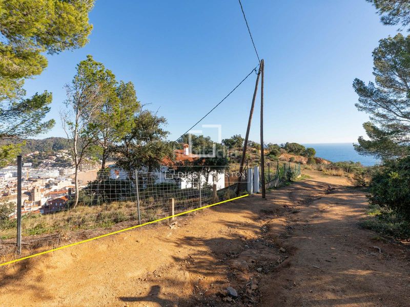 Foto a776ee5b-99dc-4c6c-a7c3-f58f4f6b9864. Finca rústica a Tossa de Mar Tossa de Mar