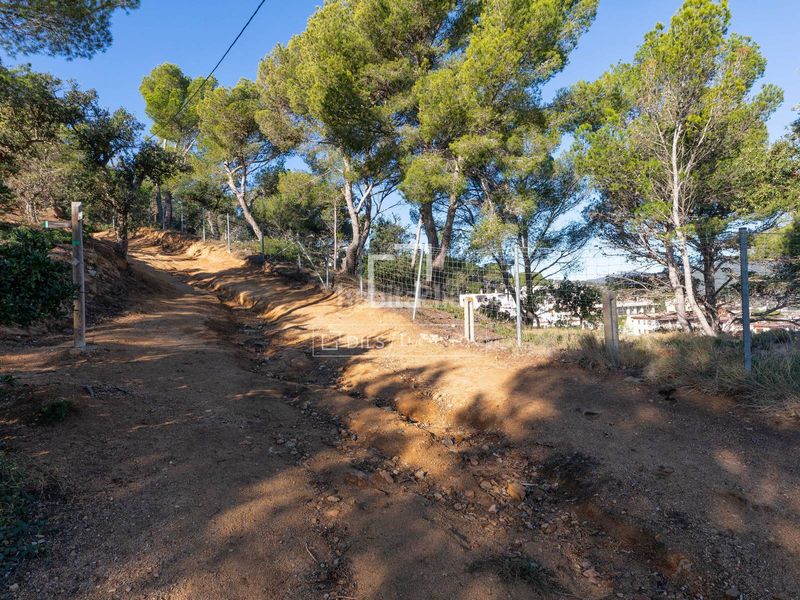 Foto b46e6e57-c348-4432-8337-ada46418609d. Finca rústica a Tossa de Mar Tossa de Mar