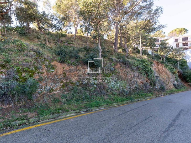 Foto d943ef98-d143-43b1-a4ea-23683362de97. Finca rústica a Tossa de Mar Tossa de Mar