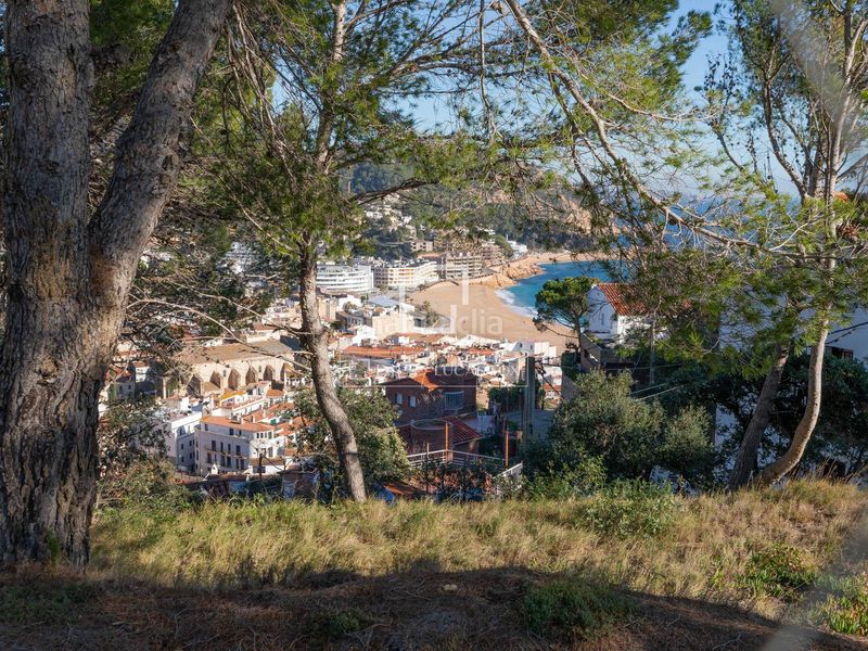 Foto dd130fd5-9127-49c7-984d-af2dba538750. Finca rústica a Tossa de Mar Tossa de Mar