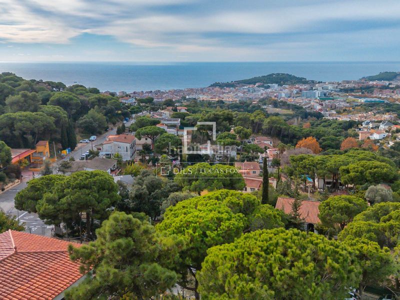 Foto 65e5a4fc-d055-4e79-92d0-1622ffacf54c. Finca rústica parcela en excelentes condiciones en venta , costa brava en Lloret de Mar