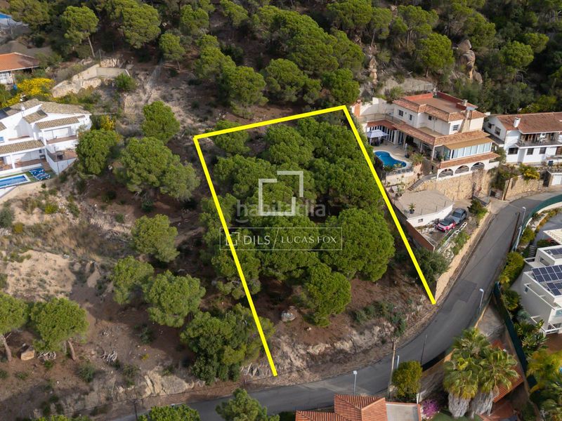 Foto af560cee-85a2-4a22-a2ad-764e8e6a4e1c. Finca rústica parcela en excelentes condiciones en venta , costa brava en Lloret de Mar