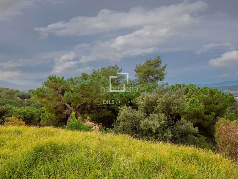 Foto 01282fa2-9a4e-4de8-a31f-9f4afae14826. Finca rústica parcela en excelentes condiciones en venta , costa brava en Lloret de Mar